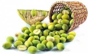 Lưu ý khi dùng hạt sen chữa mất ngủ