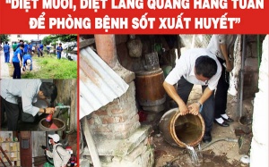 Sốt xuất huyết giết chết 12.500 người mỗi năm