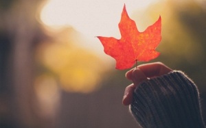 Tử vi 12 cung hoàng đạo thứ Năm (11/6/2015)