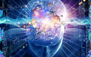 Bạn biết gì về giấc ngủ REM?