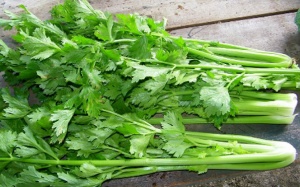 Lợi hại khi giảm cân bằng rau cần tây