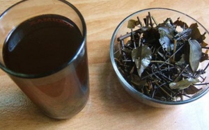 3 loại chè chữa bệnh ngày hè