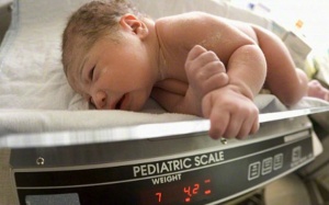 Nhiệt độ thời tiết ảnh hưởng đến giới tính thai nhi