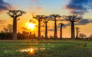 Các địa danh nổi tiếng thế giới có thể sắp biến mất