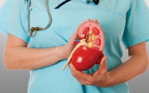 Cách để giữ thận khoẻ mạnh