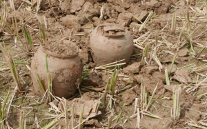 Thanh Hoá: Phát hiện cổ vật nghìn năm khi làm ruộng 