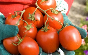 Dinh dưỡng hay đánh bay sỏi mật