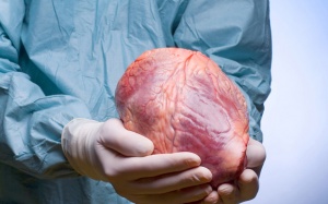 Ghép tạng ở Việt Nam: 1 người cho nghìn người chờ!