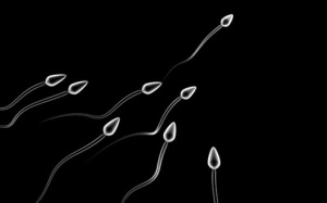 Không có tinh trùng do tắc ống dẫn tinh: Phẫu thuật liệu có nguy hiểm?