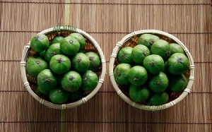 Những bài thuốc chữa bệnh hiệu nghiệm từ quả sấu nhà nào cũng cần