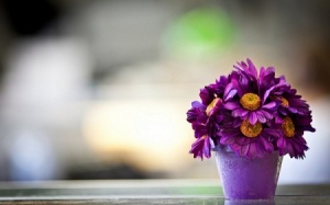 Tử vi 12 cung hoàng đạo thứ sáu (3/7/2015)