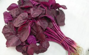 Sự thật rau dền 'hại' phụ nữ mang thai