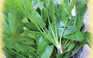 6 thực phẩm giúp gan khỏe mạnh