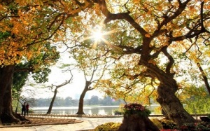 Dự báo thời tiết 9/7: Miền Bắc lại nắng to