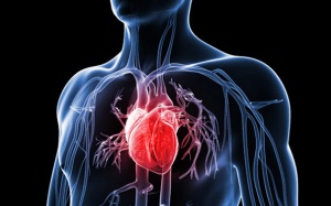 Tim nằm bên phải có sao không?