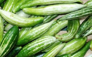 Lợi ích sức khỏe của mướp Nhật