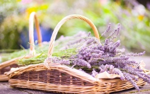 Tử vi 12 cung hoàng đạo thứ Hai (13/7/2015)