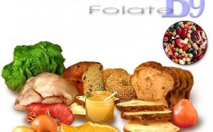 Vai trò của Vitamin B9 trong cơ thể