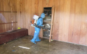 6 người chết ở Quảng Nam là do virus bạch hầu?