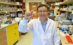 Tin vui cho bệnh nhân mắc bệnh đường ruột Celiac