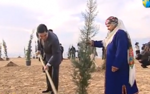 Cây cối ảnh hưởng trực tiếp đến tuổi thọ và... tài chính