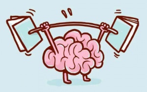 Nhiệt tình quá thành phá hoại!