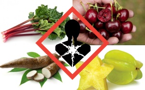 Video: 10 loại thực phẩm sẽ giết chết bạn nếu dùng sai cách