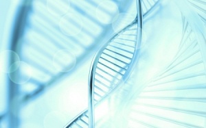 7 sự thật thú vị về bộ gene của con người