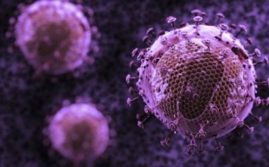 Virus HIV: Điều trị càng sớm càng có lợi