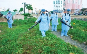 Dịch sốt xuất huyết gia tăng khi mùa mưa tới