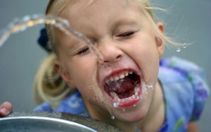 Không cần uống đến 8 ly nước mỗi ngày!