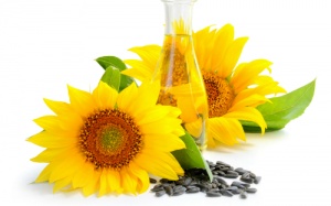 Rạng rỡ sức khỏe nhờ hạt hướng dương