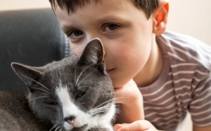 Cách tìm bạn thân cho trẻ tự kỷ