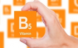 Lợi ích của vitamin B5