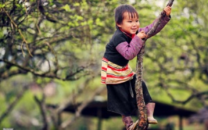 Tăng cường trí nhớ nhờ leo cây