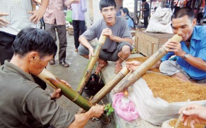 Hút thuốc lào có hại như uống thuốc trừ sâu