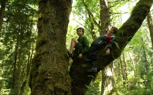 Trèo cây giúp trẻ... thông minh hơn