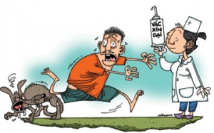 Hơn 16.000 người ở TP.HCM bị súc vật nghi dại cắn trong 6 tháng