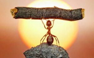 Định dạng với cái 'vô ngã' 