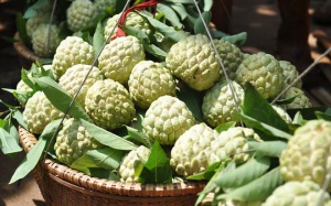 Lợi ích của quả na và cách chọn na ngon