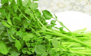 Các thực phẩm giúp tăng size vòng 1