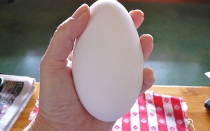 Trứng ngỗng là 'thần dược' cho bà bầu?