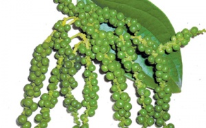 Khỏe người nhờ ăn tiêu