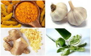 Top thảo mộc và gia vị hỗ trợ điều trị đái tháo đường