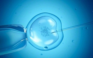 Xúc xích làm giảm khả năng thụ tinh?