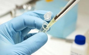 Vaccine sốt xuất huyết Dengue sẽ có mặt vào năm 2018