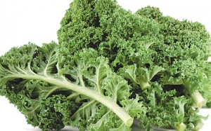 Trì hoãn mất trí nhớ ở tuổi già