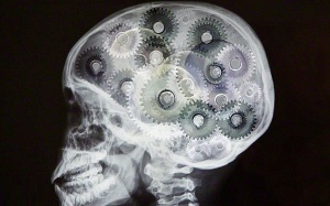 Nhân tài thường 'chết yểu': Sai bét!