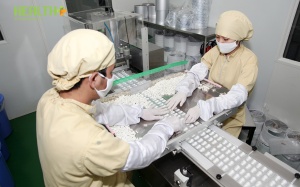 7 lý do phải áp dụng GMP thực phẩm chức năng