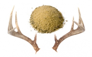 Nhung hươu: Đâu phải ai ăn cũng bổ!